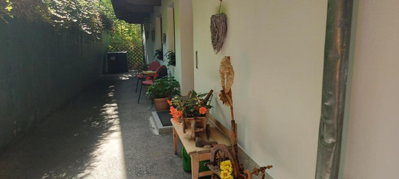 אלפבאך Appartements Zellner מראה חיצוני תמונה